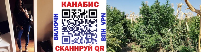 Бошки Шишки Amnesia  kraken как войти  Лахденпохья  мориарти как зайти  сколько стоит 